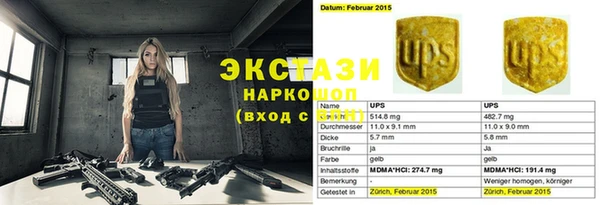 ECSTASY Богородицк