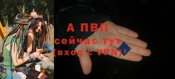 таблы Богданович