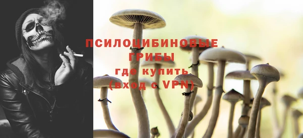 ECSTASY Богородицк
