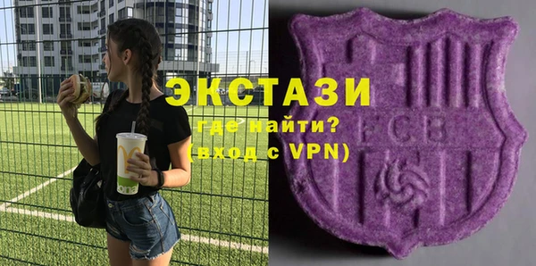 ECSTASY Богородицк
