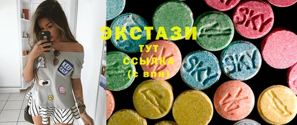 ECSTASY Богородицк