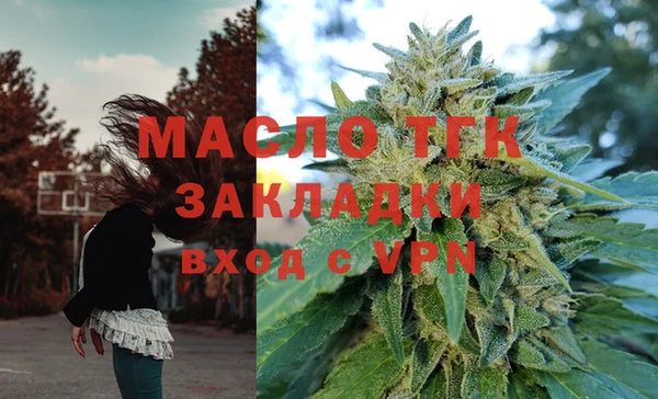 ECSTASY Богородицк