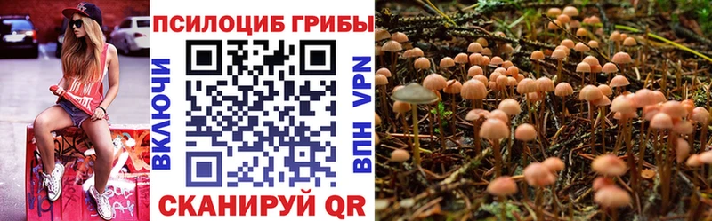 купить закладку  Щигры  Галлюциногенные грибы ЛСД 
